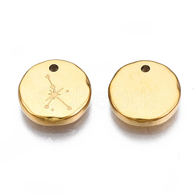 316 Surgical Stainless Steel Charms STAS-S116-418I-G-1