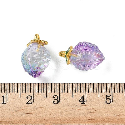 Transparent Glass Pendants GLAA-P072-03G-11-1