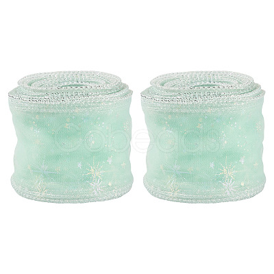 Polyester Deco Mesh Ribbons OCOR-TAC0024-004G-1