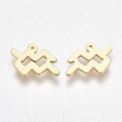 Ion Plating(IP) 304 Stainless Steel Charms X-STAS-S107-06I-1