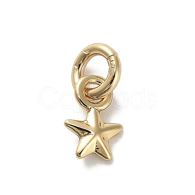 Golden Brass Charms KK-H493-01G-09-1