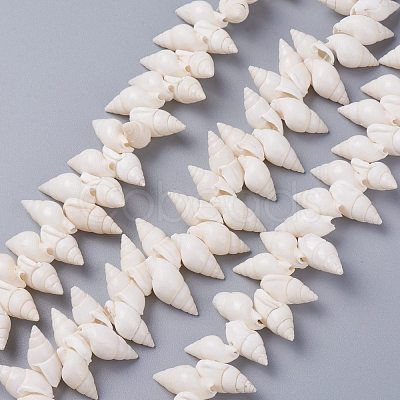 Natural Spiral Shell Beads Strands X-BSHE-I016-07-1