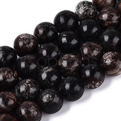 Natural Biotite Beads Strands G-Q616-01D-1