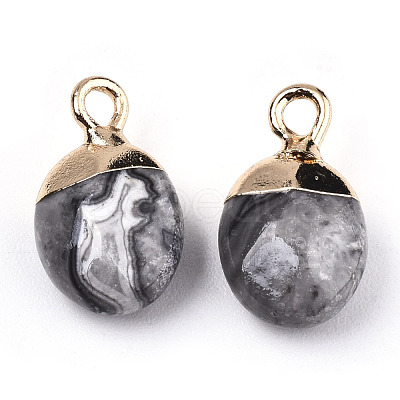 Natural Map Stone/Picasso Stone/Picasso Jasper Charms G-N326-58B-1