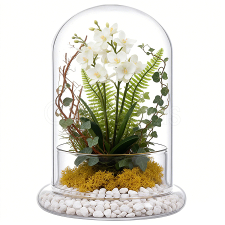 Arch Glass Dome Cover AJEW-WH0481-569B-1