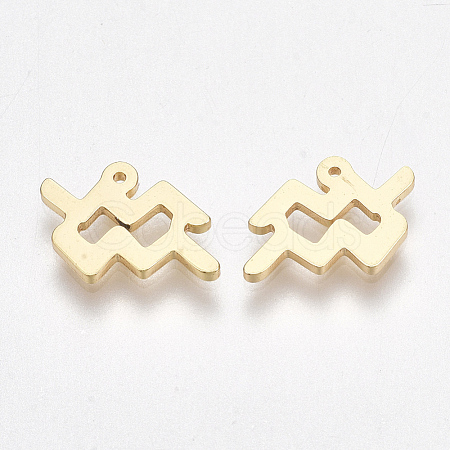 Ion Plating(IP) 304 Stainless Steel Charms X-STAS-S107-06I-1