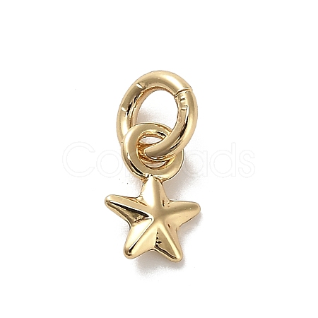 Golden Brass Charms KK-H493-01G-09-1