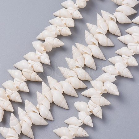 Natural Spiral Shell Beads Strands X-BSHE-I016-07-1