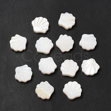 Natural Freshwater Shell Beads LS-BSHE-E026-06-1