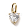 316 Stainless Steel Micro Pave Cubic Zirconia Charms ZIRC-P108-01G-D-1