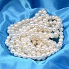 AB Color Plated Shell Pearl Round Bead Strands BSHE-L011-8mm-C001-2