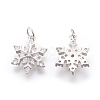 Brass Micro Pave Cubic Zirconia Pendants KK-F774-10P-NR-2