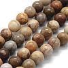 Natural Fossil Coral Beads Strands G-G763-12-8mm-1