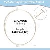 1Pc 999 Fine Silver Wire STER-BC0001-66B-2