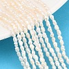 Natural Cultured Freshwater Pearl Beads Strands PEAR-D003-01D-01-1
