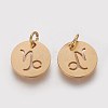 Ion Plating(IP) 304 Stainless Steel Pendants A-STAS-Q201-T445-10G-2
