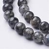 Natural Larvikite Beads Strands GSR6mmC128-2