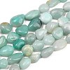 Natural Amazonite Nuggets Beads Strands X-G-J335-31A-2