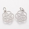 Tarnish Resistant 304 Stainless Steel Pendants LS-STAS-Q201-T454S-2