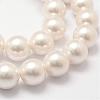 Shell Pearl Bead Strands BSHE-L026-03-16mm-3