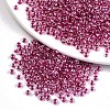 6/0 Glass Seed Beads SEED-A015-4mm-2209-1