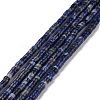 Natural Sodalite Beads Strands G-P468-19-1