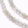 Natural Labradorite Beads Strands G-F509-03-4mm-3