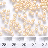 6/0 Baking Paint Glass Round Seed Beads SEED-S036-01C-19-3