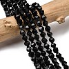 Natural Black Onyx  Beads Strands G-Z119-A04-01-1