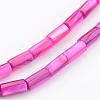 Natural Shell Bead Strands BSHE-P016-09-3