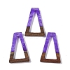 Resin & Wood Pendants WOOD-F015-10H-1