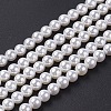 Shell Pearl Bead Strands BSHE-P023-3mm-1