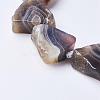 Natural Botswana Agate Beads Strands G-F506-10-3
