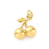 304 Stainless Steel Charms STAS-U049-01A-01G-1