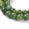 Dyed Natural Malaysia Jade Beads Strands G-G021-02C-13-3