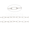 Tarnish Resistant 304 Stainless Steel Paperclip Chains CHS-F010-01I-P-1