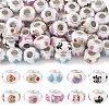 60Pcs 10 Styles Opaque Resin European Beads RPDL-YW0001-21-1