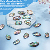 1 Strand Natural Abalone Shell/Paua Shell Beads Strands BSHE-BC0001-16-4
