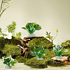 4Pcs 4 Styles Plastic Sea Grass Display Decorations DJEW-GF0001-85-7