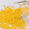 11/0 FGB Grade A Baking Paint Glass Seed Beads X-SEED-N001-A-1002-1