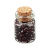 Transparent Glass Wishing Bottle Decoration LS-DJEW-A001-01A-01-1