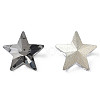 Glass Rhinestone Cabochons MRMJ-N029-04A-01-5