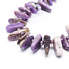 Natural Charoite Beads Strands G-E569-O03-3