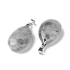 Natural Labradorite Pendants G-D084-01P-B22-3