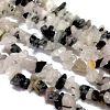 Natural Rutilated Quartz Chips Beads Strands F010-2