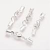 Silver Color Plated Brass Clip Ends X-KK-G144-S-1