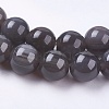 Natural Ice Obsidian Bead Strands G-E468-D01-10mm-3