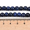 Dyed Natural Lapis Lazuli Round Beads Strands G-M169-6mm-05-5