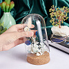 Glass Dome Cover AJEW-PH0004-19C-3