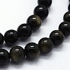 Natural Golden Sheen Obsidian Beads Strands G-I199-14-8mm-3